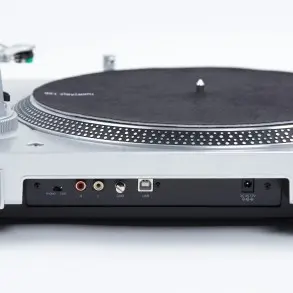 Bandeja Tocadiscos Audio Technica Lp120 Usb Vinilo Giradisco De Accion Directa Salidas Usb-rca AT-LP120XUSB-SV