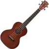 Ukelele Gretsch Tenor acustico G9120 Escala Standard Funda Honey Vintage stein