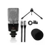 Microfono Condenser Artesia AMC10 Accesorios 30 Hz- 18 Khz