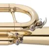 Trompeta Stagg Bb WSTR115 + Estuche