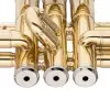 Trompeta Stagg Bb WSTR115 + Estuche
