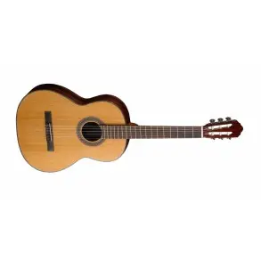 Guitarra Clásica Cort Tapa Solida Incluye Funda