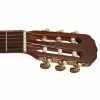 Guitarra Clásica Cort Tapa Solida Incluye Funda