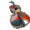 Violin Stradella 4/4 Con Estuche y Accesorios
