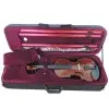 Violin de Estudio Stradella 4/4 MV1415 Pino y Maple Macizo Estuche y Accesorios
