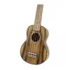 Ukelele Concierto Fzone Con Encordado Aquila + Funda FZU-DA20C