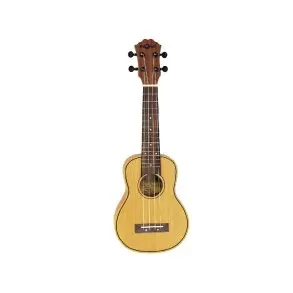 Ukelele Tenor Fzone Con Encordado Aquila + Funda FZU-D30T