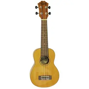 Ukelele Tenor Fzone Con Encordado Aquila + Funda FZU-D10T