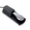 Pedal Sustain Fzone Con Cambio De Polaridad SP-1