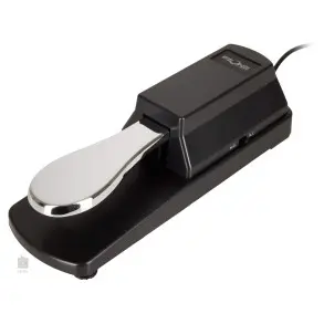 Pedal Sustain Fzone Con Cambio De Polaridad SP-1