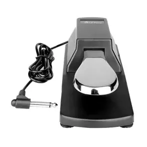 Pedal Sustain Fzone Con Cambio De Polaridad SP-1