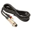 Micrófono Condenser Fzone De Estudio BM-800 | Cable XLR/Mini plug