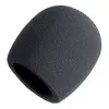 Micrófono Condenser Fzone De Estudio BM-800BK | Cable XLR / Mini plug