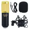 Micrófono Condenser Fzone De Estudio BM-800BK | Cable XLR / Mini plug