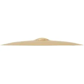 Platillo Sabian Bash Ride AAX BR 24"