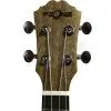 Ukelele Concierto Fzone Caoba con Encordado Aquila + Funda