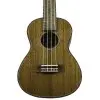 Ukelele Concierto Fzone Caoba con Encordado Aquila + Funda