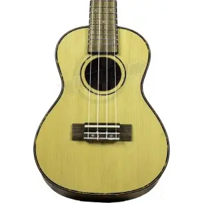 Ukelele Concierto Fzone con Encordado Aquila + Funda FZU-07C