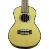 Ukelele Concierto Fzone con Encordado Aquila + Funda FZU-07C