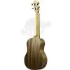 Ukelele Tenor Fzone con Encordado Aquila + Funda FZU-07T