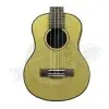Ukelele Tenor Fzone con Encordado Aquila + Funda FZU-07T