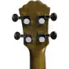 Ukelele Tenor Fzone con Encordado Aquila + Funda FZU-07T