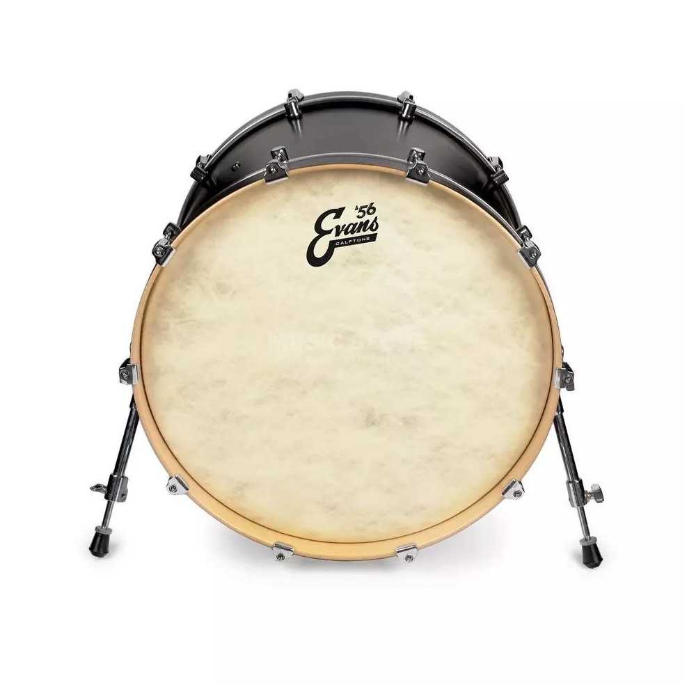 Parche Evans 18" Calftone Cuero Capa Simple BD18CT