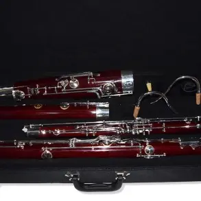 Fagot Gala BS1200 Tono C - Maple Con Estuche