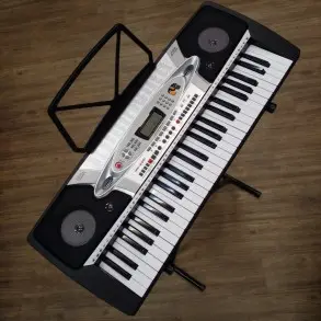 Teclado MK-2061 En Exhibición 5 Octavas Con Funda Y Micrófono