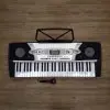 Teclado MK-2061 En Exhibición 5 Octavas Con Funda Y Micrófono