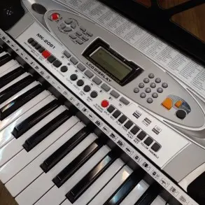 Teclado MK-2061 En Exhibición 5 Octavas Con Funda Y Micrófono