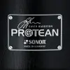 Redoblante Sonor Protean Avin Harrison Premium 12"x5" Birch - Wood