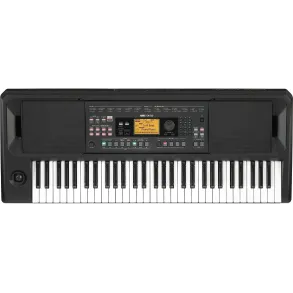 Teclado Korg EK-50L 61 Teclas Edicion Limitless