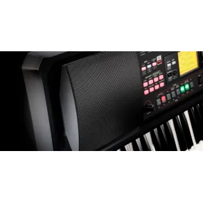 Teclado Korg EK-50L 61 Teclas Edicion Limitless