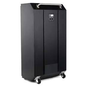 Bafle Ampeg 8x10" Caja Para Bajo De 800W SVT-810AV