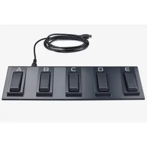 Pedal Korg EC-5 Para Pianos Interactivos