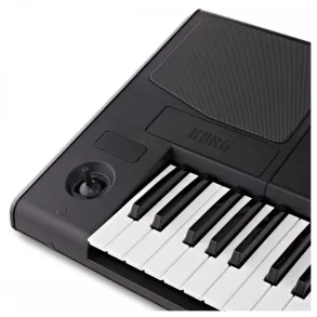 Teclado Arranger Korg PA300 61 Teclas