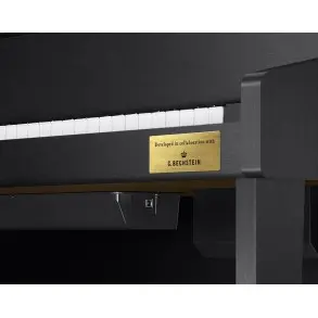 Casio Gran Hybrid GP310 Celviano Piano Hibrido Digital