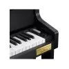Casio Gran Hybrid GP310 Celviano Piano Hibrido Digital