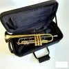 Trompeta Lincoln Winds Deluxe Tono Bb Gold lacquer con Estuche Rigido