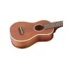 Ukelele Stagg Soprano Caoba Macizo-Aros Us80