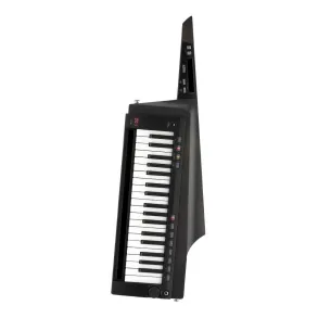 Korg Rk-100s 2 Sintetizador Teclado Tipo Guitarra 37 Teclas