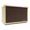 Amplificador Blackstar Para Guitarra Acústica Acoustic Core 30W
