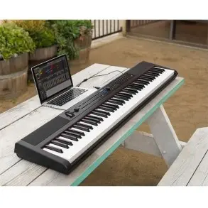 Piano Artesia de 88 Teclas Semipesadas Pe88wbk