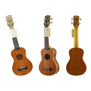Ukelele Leonard Tenor Uk22tnm Cuerdas Aquila + Funda