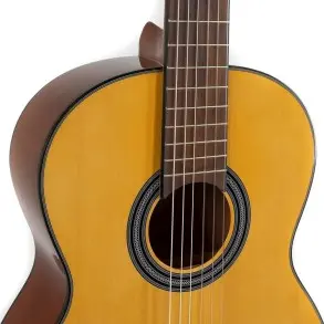 Guitarra Criolla De Concierto Gewa Student Vg500140