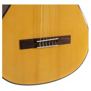 Guitarra Criolla De Concierto Gewa Student Vg500140