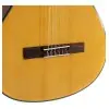Guitarra Criolla De Concierto Gewa Student Vg500140
