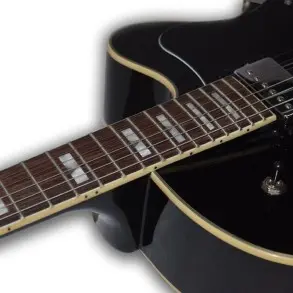 335 Leonard Guitarra Electrica Con Caja Tipo Jazz JZ33BK
