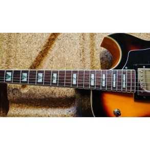 Guitarra Electrica Leonard 335 De Caja Tipo Jazz Jz32sb